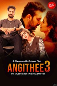 Download Angithee 3 (2024) WEB-DL Hindi Full Movie 480p | 720p | 1080p