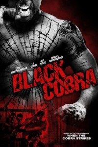 Download Black Cobra (2012) Dual Audio {Hindi-English} Full Movie 480p | 720p