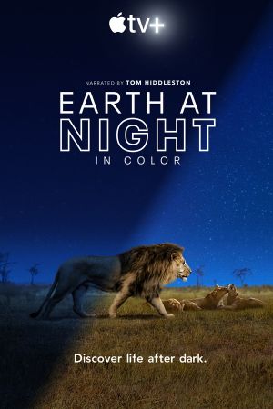 Download Earth at Night in Color (Season 1 – 2) Complete Dual-Audio {Hindi-English} Apple TV+ Original WEB-DL 720p