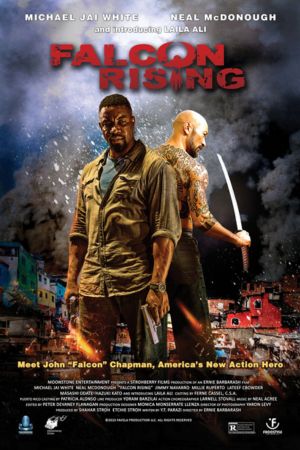 Download Falcon Rising (2014) Dual Audio (Hindi-English) 480p | 720p