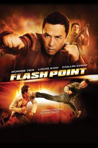 Download Flash Point (2007) Dual Audio Hindi Chinese 480p | 720p