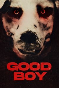 Download Good Boy (2022) Dual Audio {Hindi-Norwegian} BluRay 480p | 720p | 1080p