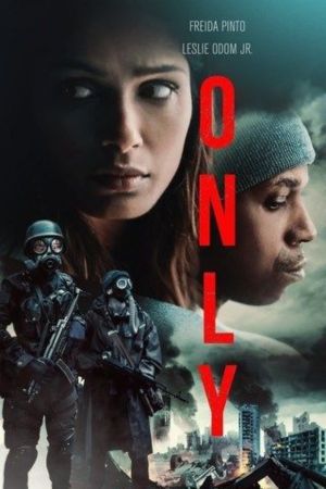 Download Only (2019) Dual Audio {Hindi-English} BluRay 480p | 720p