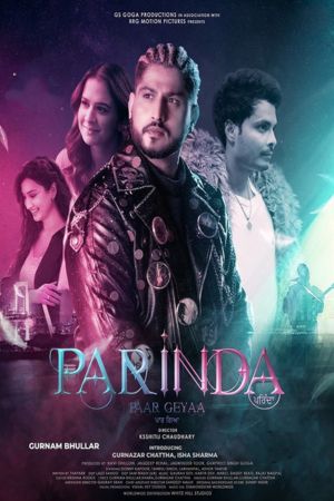 Download Parinda Paar Geyaa (2023) Punjabi Movie CHTV WEB-DL 480p | 720p | 1080p