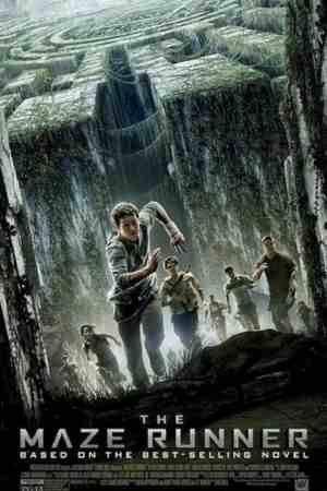 Download The Maze Runner (2014) Dual Audio {Hindi-English} 480p | 720p