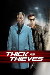 Download Thick as Thieves (2009) BluRay Dual Audio {Hindi-English} Full-Movie 480p | 720p | 1080p