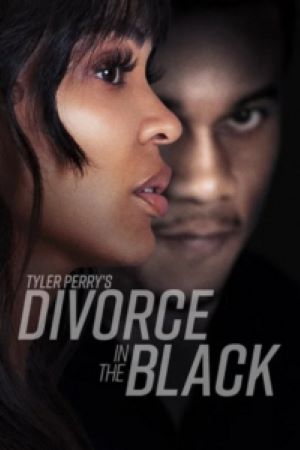 Download Tyler Perry’s Divorce in the Black (2024) WEB-DL Dual Audio {Hindi-English} 480p | 720p | 1080p