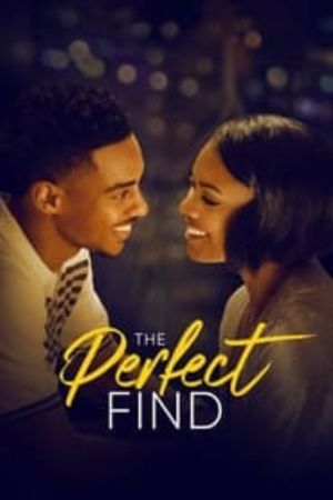 Download The Perfect Find (2023) Dual Audio {Hindi-English} 480p | 720p | 1080p