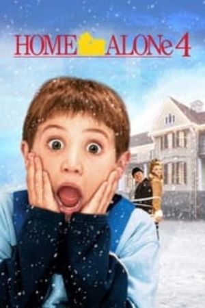 Download Home Alone 4 (2002) {Hindi-English} 480p | 720p