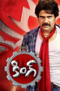 Download King (2008) BluRay ORG. Dual Audio [Hindi – Telugu] Full Movie 480p | 720p | 1080p