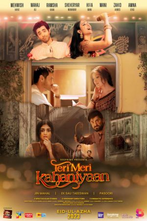 Download Teri Meri Kahaniyaan (2023) URDU CAMRip Dubbed 480p | 720p | 1080p