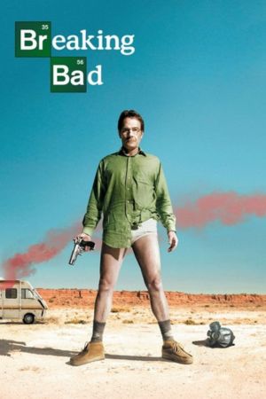 Download Breaking Bad (Season 1-5) Dual Audio {Hindi-English} BluRay 480p | 720p