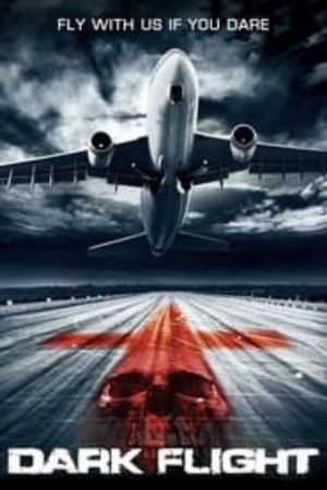 Download 407 Dark Flight 3D (2012) Dual Audio {Hindi-English} 480p | 720p