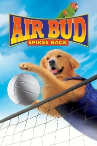 Download Air Bud – Spikes Back (2003) WEB-DL Dual Audio {Hindi-English} 480p | 720p | 1080p