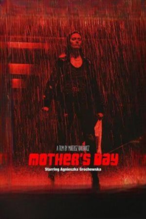 Download Mother’s Day – Netflix Original (2023) WEB-DL Dual Audio {Hindi DD 5.1 – English} 480p | 720p | 1080p