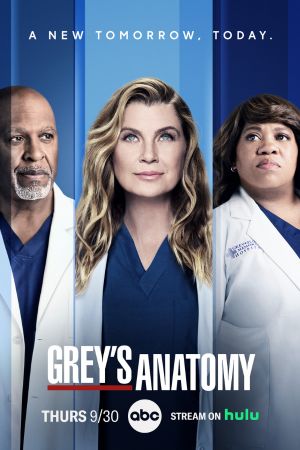 Download Grey’s Anatomy (Season 1-18)  {English With Subtitles} 720p Bluray